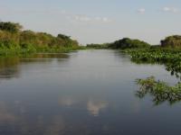 Landscape of the Pantanal 03