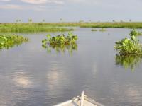 Landscape of the Pantanal 04