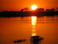 Landscape of the Pantanal 06