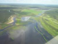 Landscape of the Pantanal 01