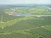 Landscape of the Pantanal 18