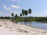 Landscape of the Pantanal 27