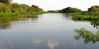 Landscape of the Pantanal